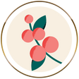 coffee cherry icon