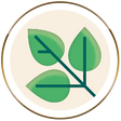 leaves icon