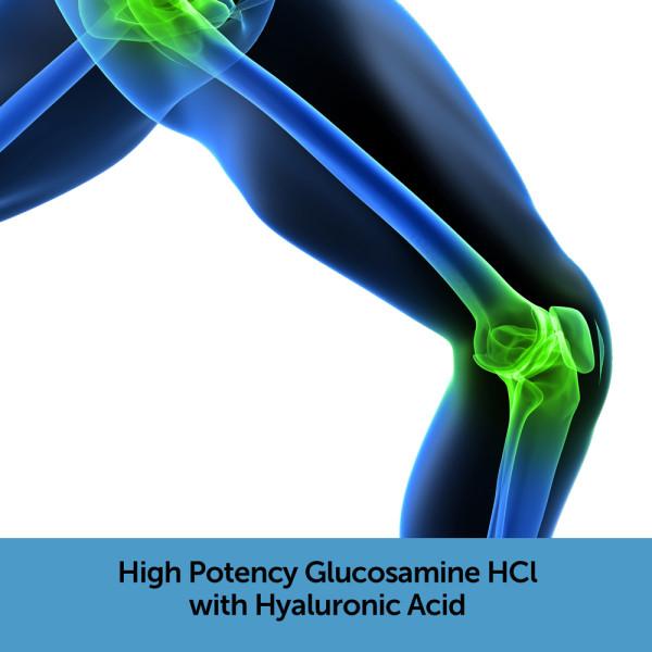 Glucosamine HCL promotes joint function