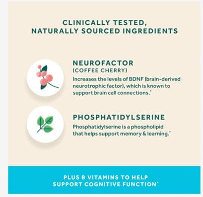 Neuriva Plus Brain Health Supplement fuels 6 indicators of brain health
